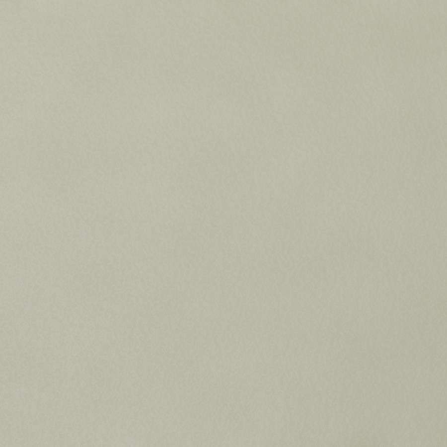 Dolphin Grey